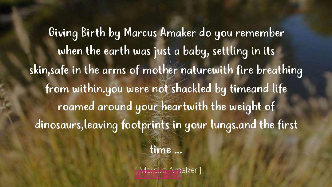 Finding Your Birth Mother quotes by Marcus Amaker