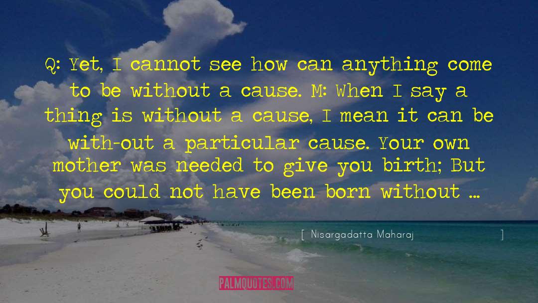 Finding Your Birth Mother quotes by Nisargadatta Maharaj