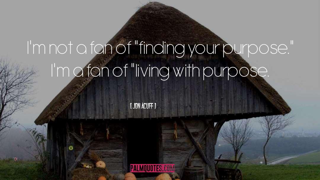 Finding Your Passion quotes by Jon Acuff