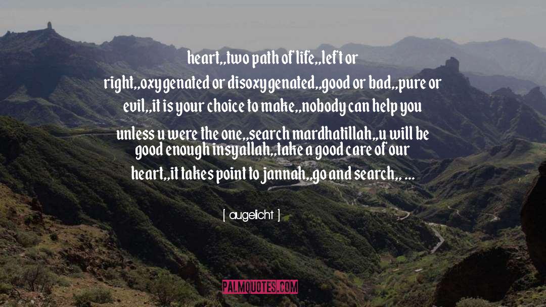 Finding Your Right Path quotes by Augelicht