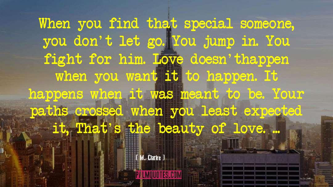 Finding Your Special Someone quotes by M. Clarke