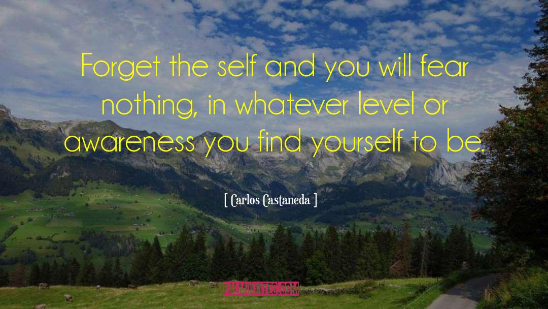 Finding Yourself quotes by Carlos Castaneda