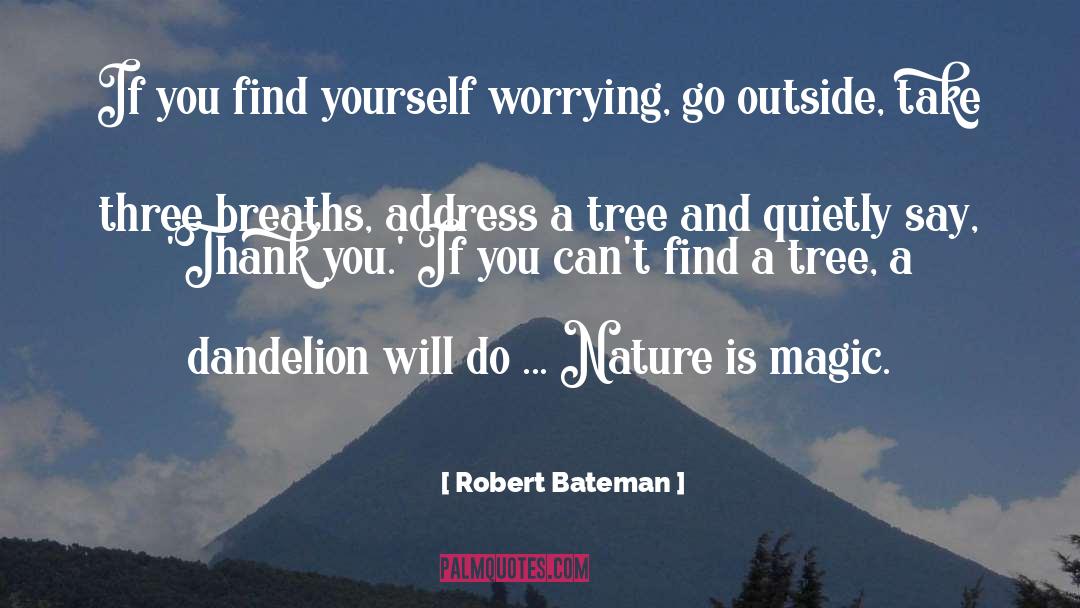 Finding Yourself quotes by Robert Bateman