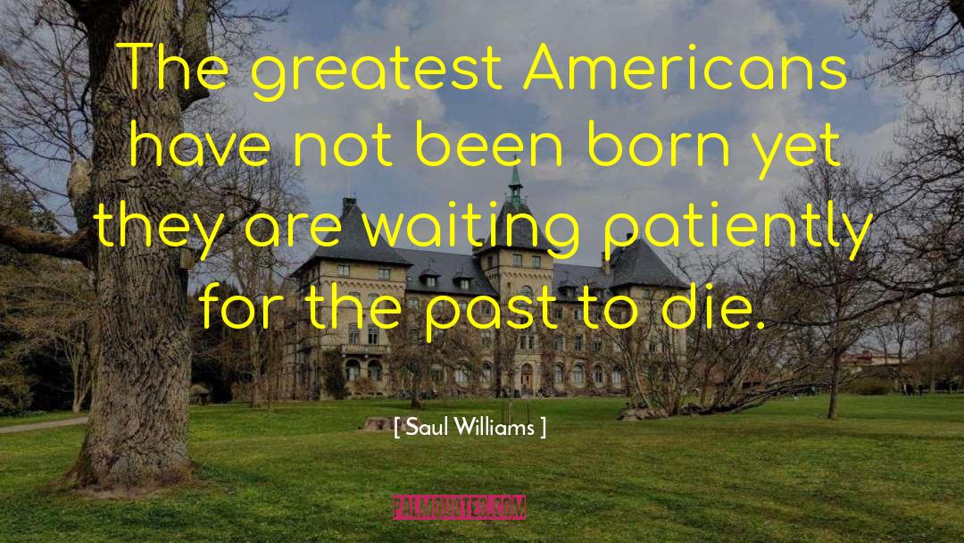 Fine Literature quotes by Saul Williams