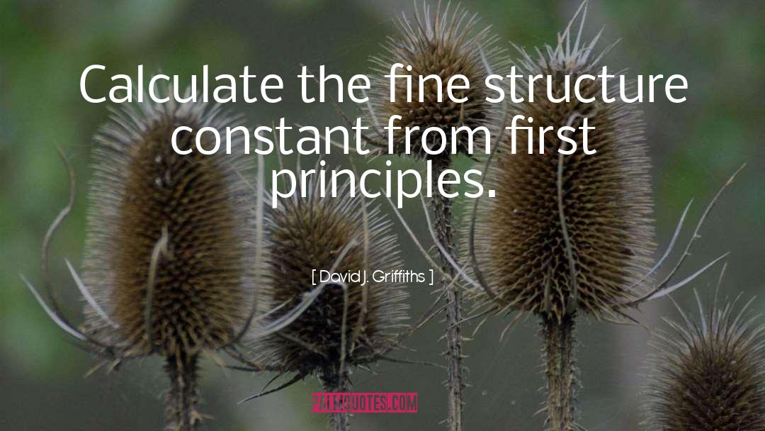 Fine Structure Constant quotes by David J. Griffiths