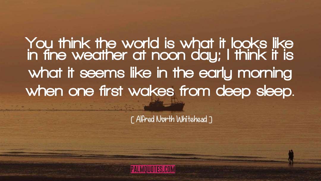 Fine Weather quotes by Alfred North Whitehead