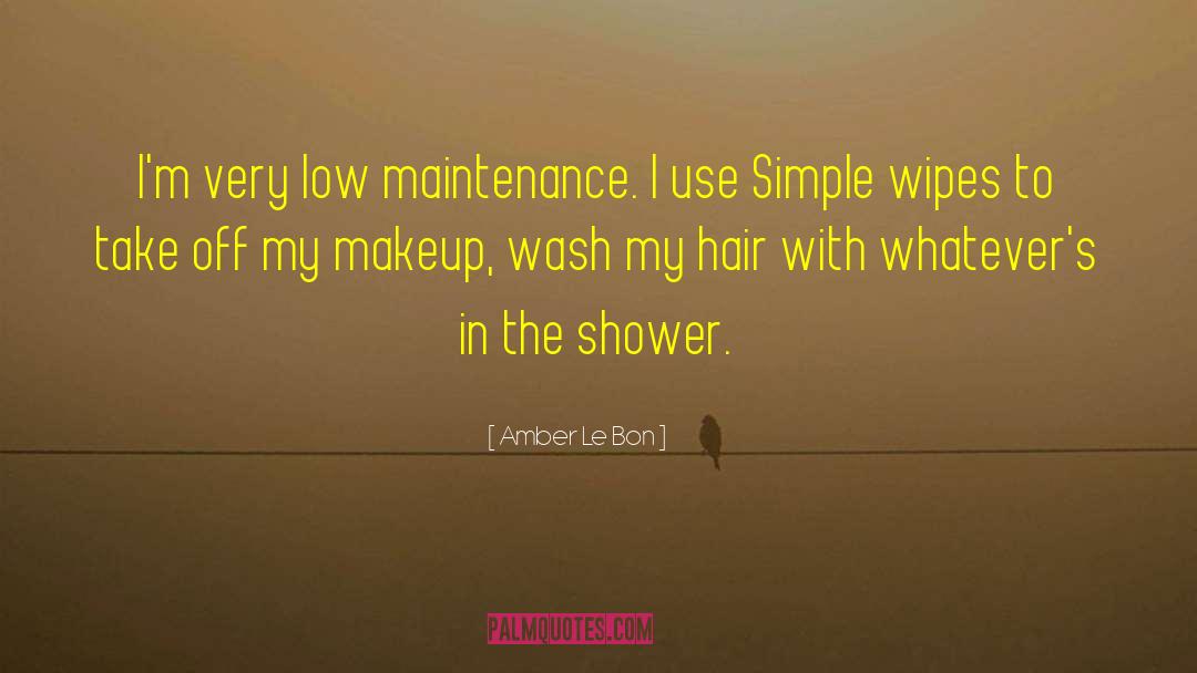Fineberg Maintenance quotes by Amber Le Bon