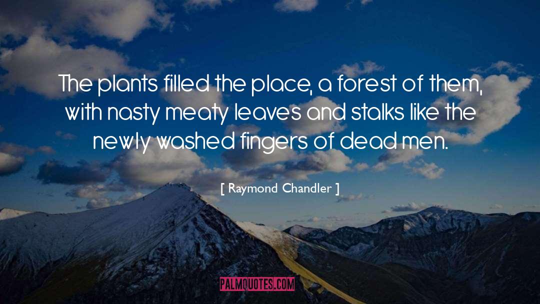Fingers quotes by Raymond Chandler