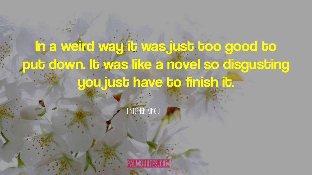 Finish It quotes by Stephen King