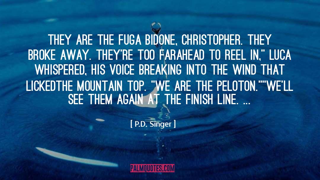 Finish Line quotes by P.D. Singer