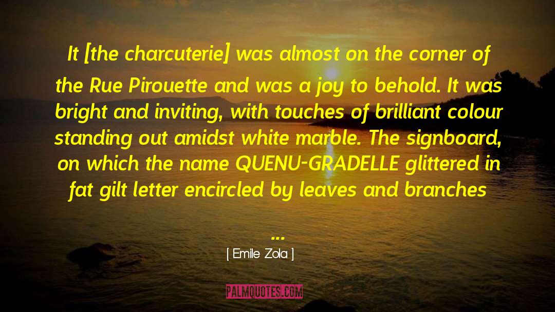 Finite Corner Of The Vast quotes by Emile Zola