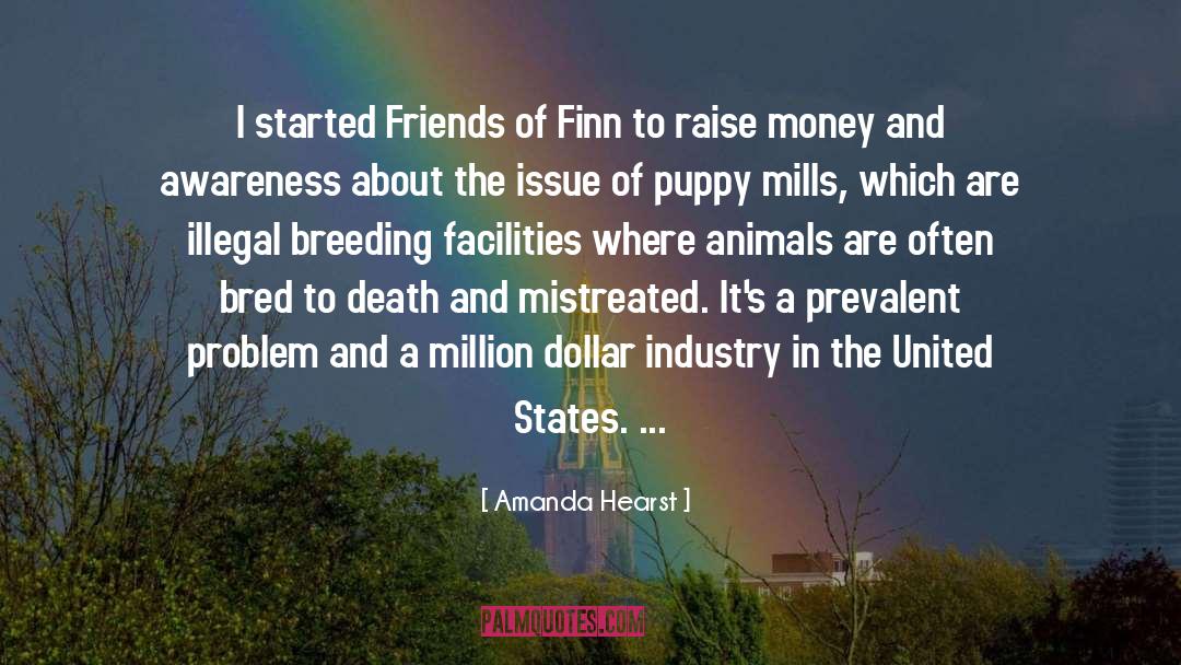 Finn quotes by Amanda Hearst