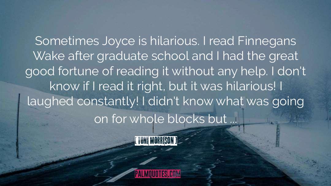Finnegans quotes by Toni Morrison
