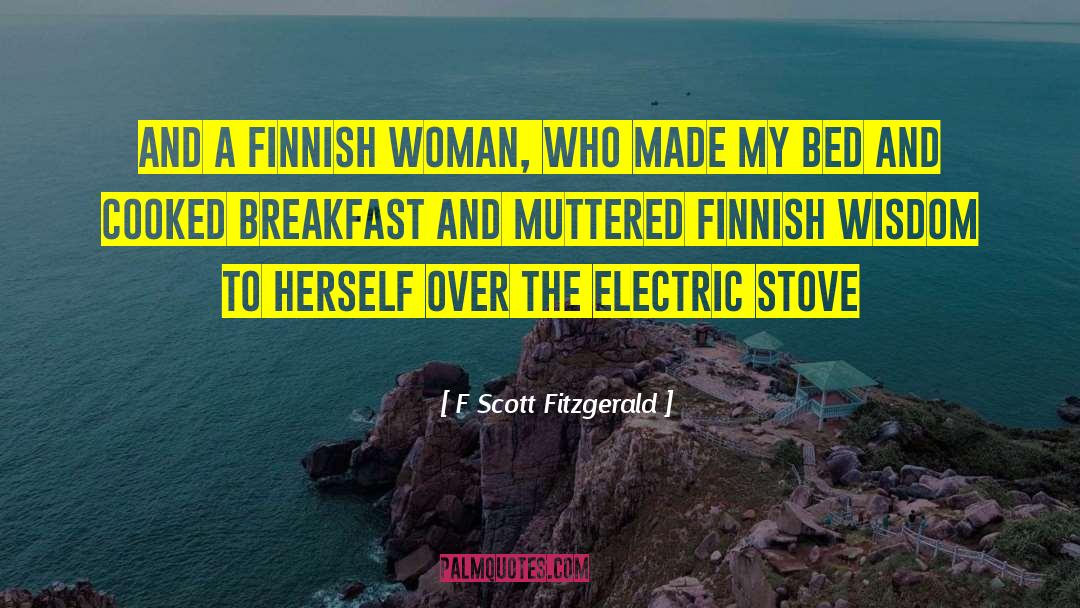 Finnish quotes by F Scott Fitzgerald