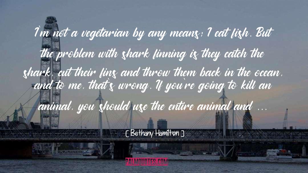 Fins quotes by Bethany Hamilton