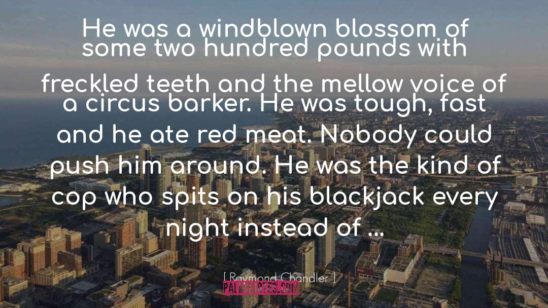Finsbury Circus quotes by Raymond Chandler