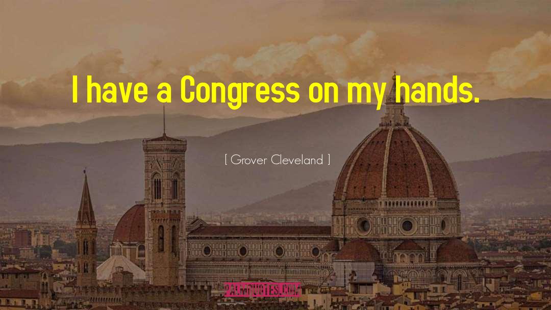 Fioranelli Cleveland quotes by Grover Cleveland