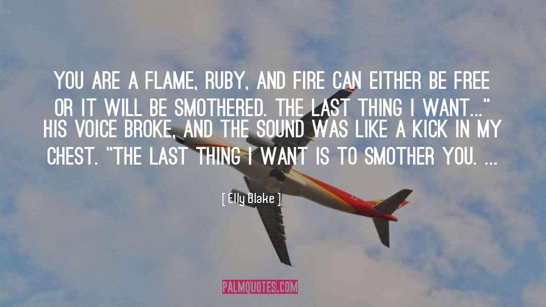 Fire And Blood quotes by Elly Blake