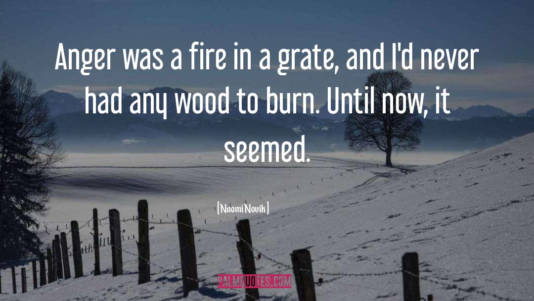 Fire And Thorns Trilogy quotes by Naomi Novik