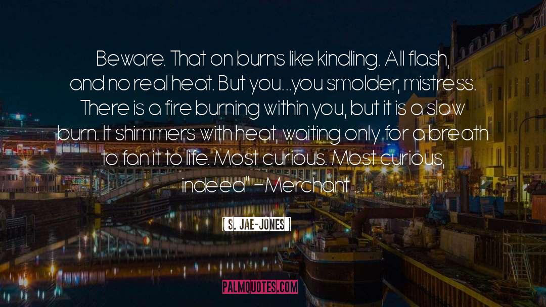 Fire Burning quotes by S. Jae-Jones