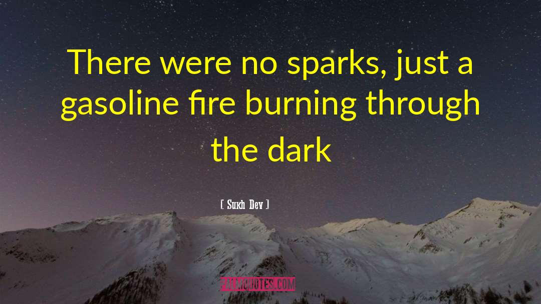 Fire Burning quotes by Sukh Dev