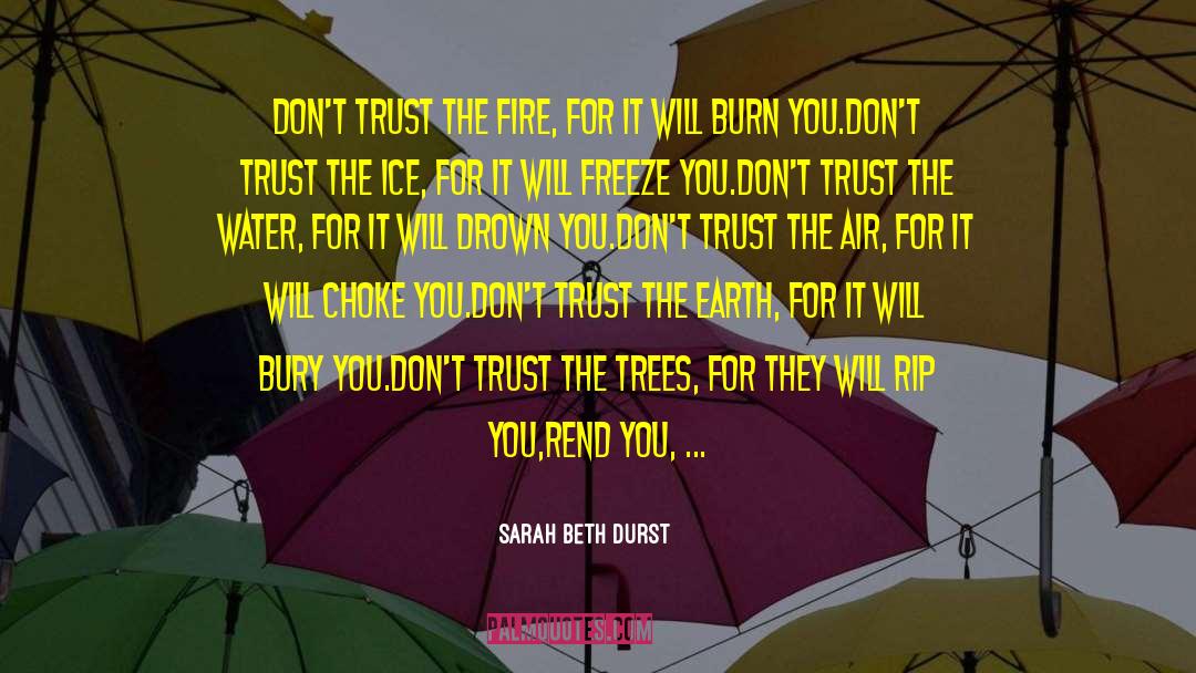 Fire Dancer quotes by Sarah Beth Durst