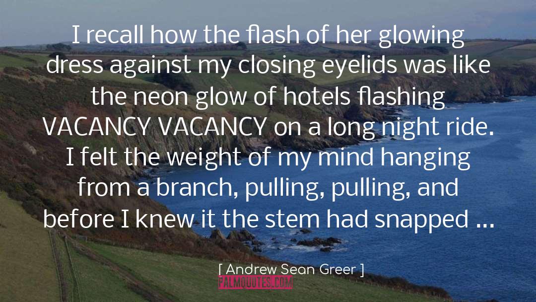 Fire Falling quotes by Andrew Sean Greer