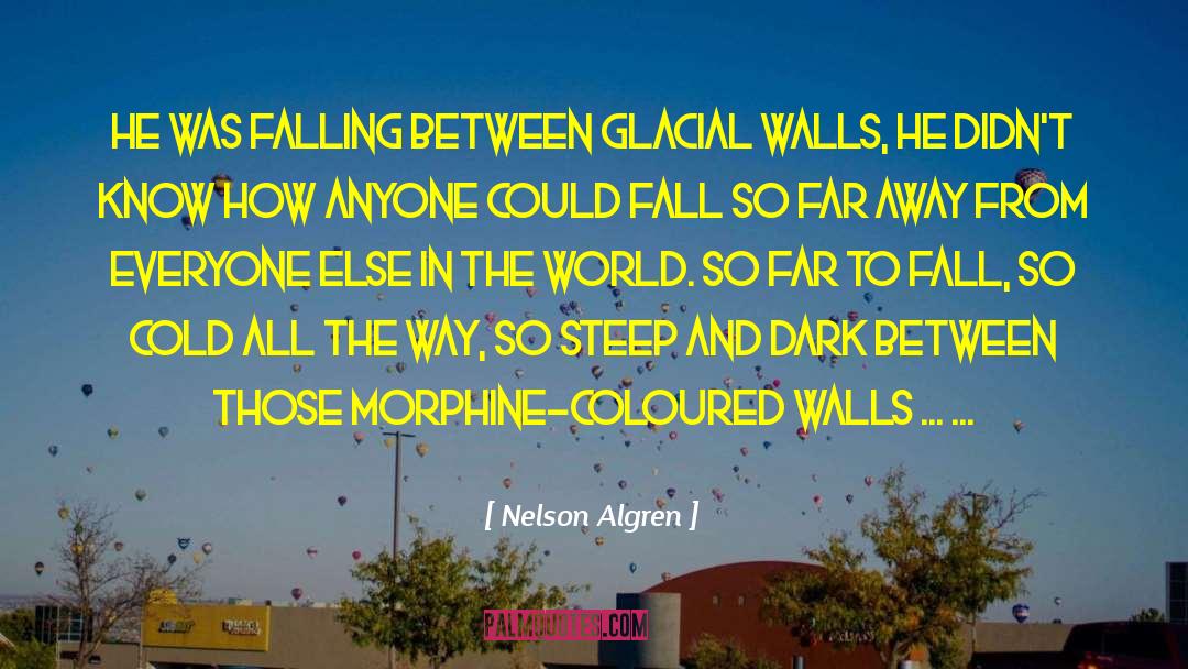 Fire Falling quotes by Nelson Algren