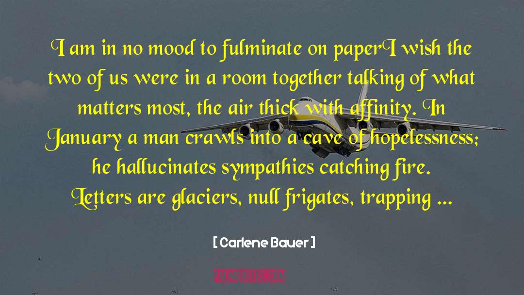 Fire Fighter quotes by Carlene Bauer