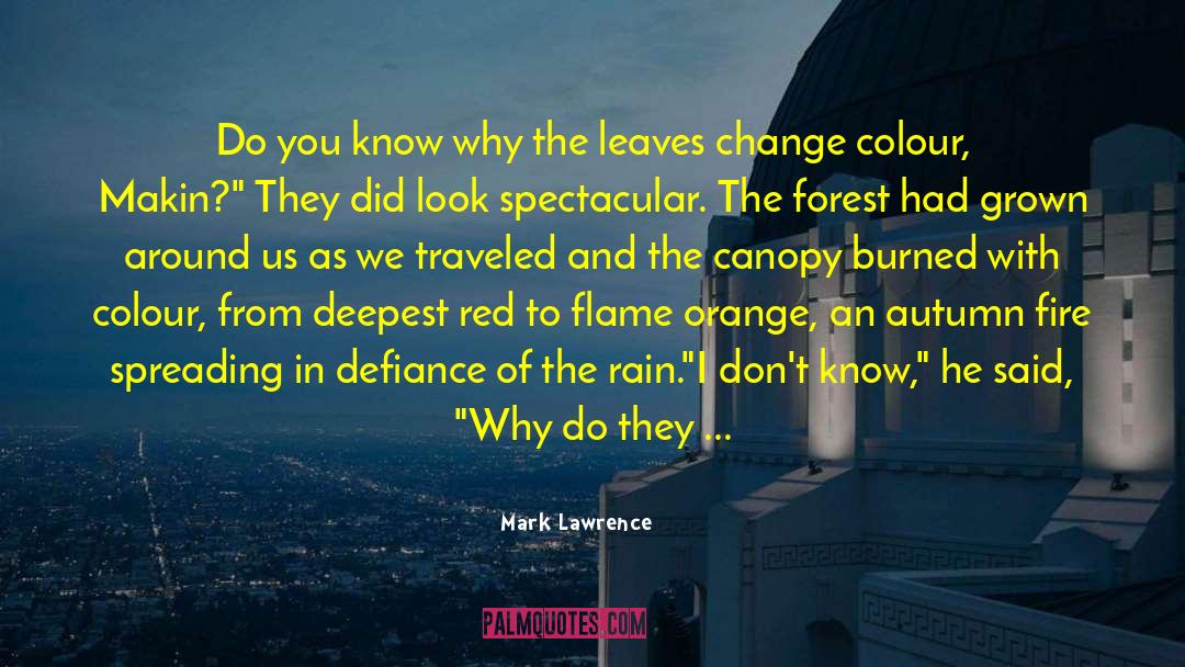 Fire Fighter quotes by Mark Lawrence