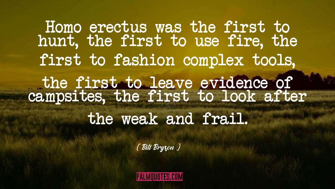 Fire Island quotes by Bill Bryson