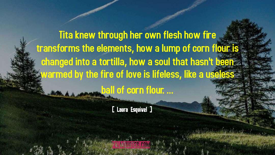 Fire Of Love quotes by Laura Esquivel