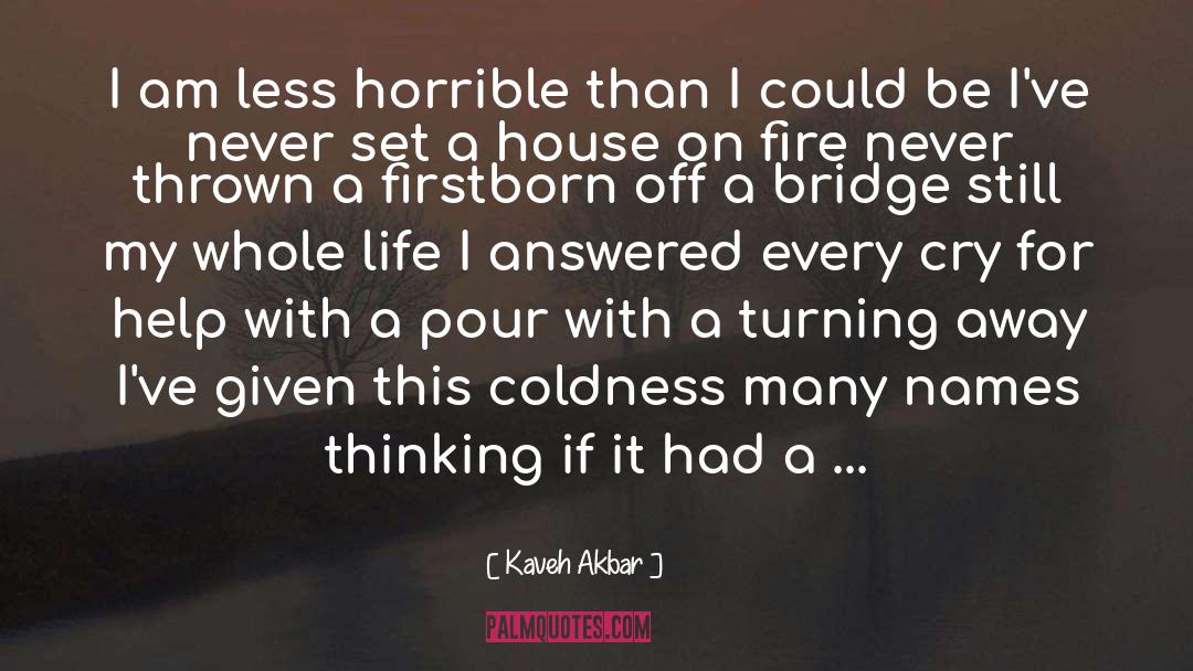 Fire quotes by Kaveh Akbar