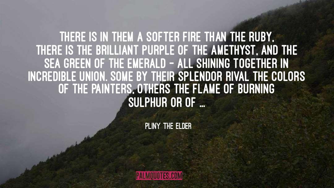 Fire Ranger quotes by Pliny The Elder