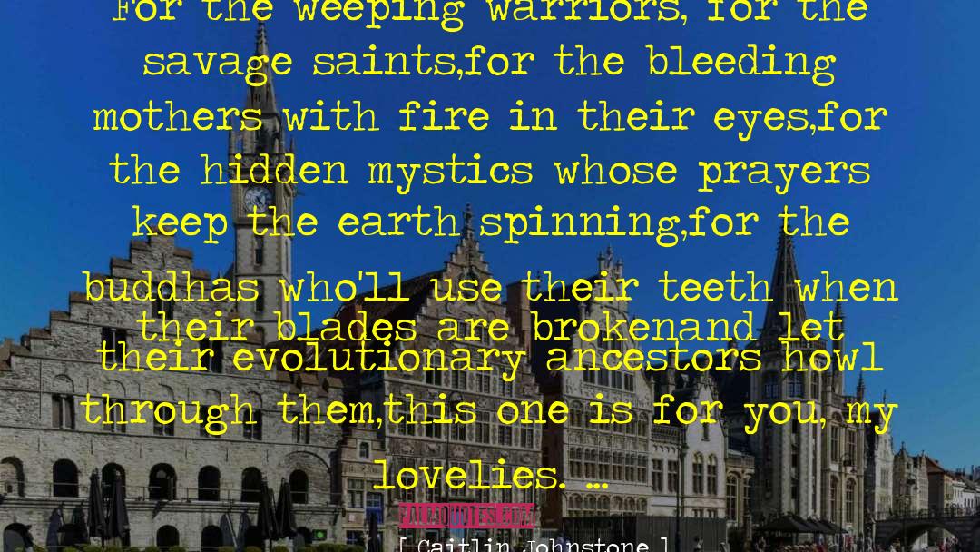 Fire Saints Holiness Perfection quotes by Caitlin Johnstone