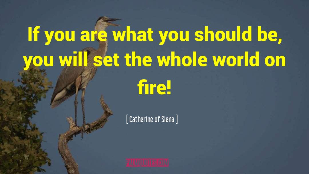 Fire Saints Holiness Perfection quotes by Catherine Of Siena