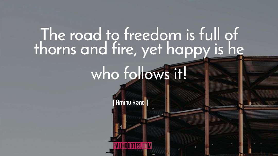 Fire Sparks quotes by Aminu Kano