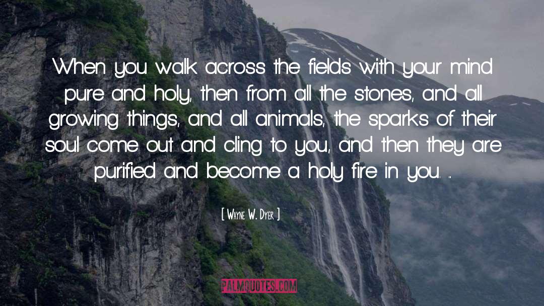 Fire Study quotes by Wayne W. Dyer
