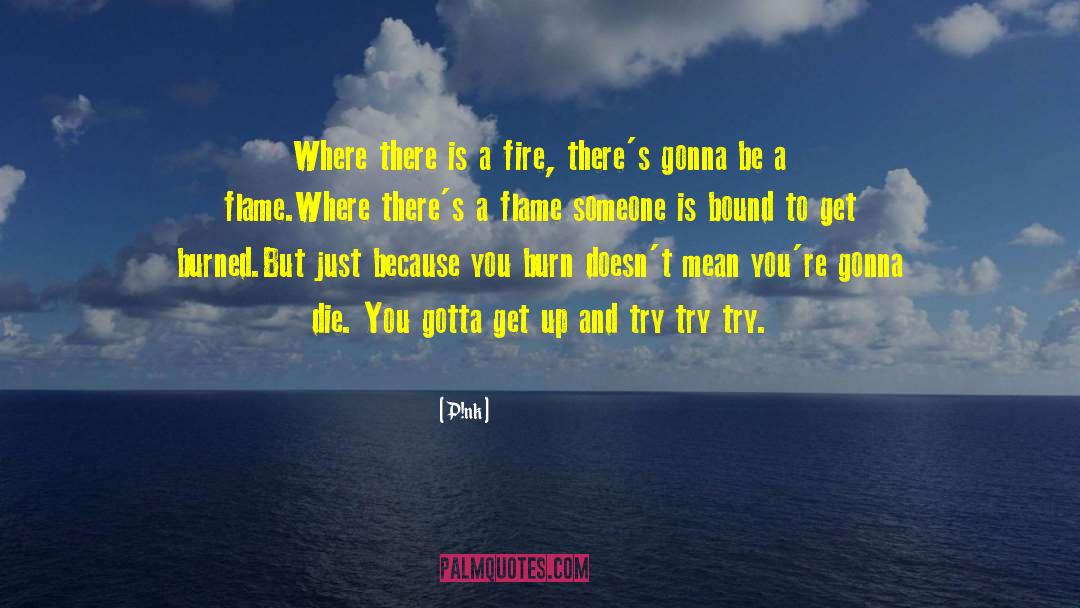 Fire Watcher quotes by P!nk