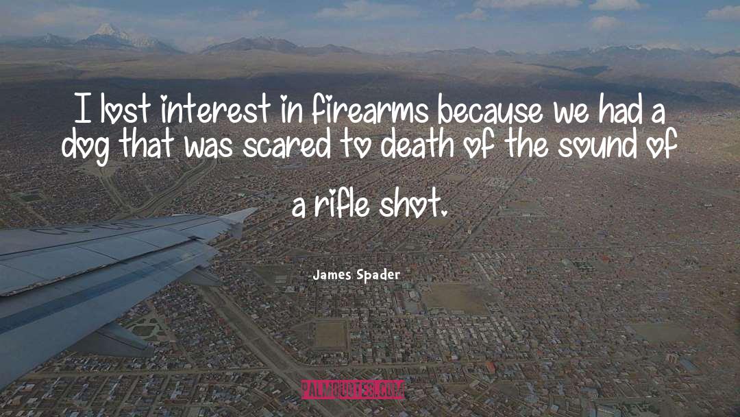 Firearms quotes by James Spader