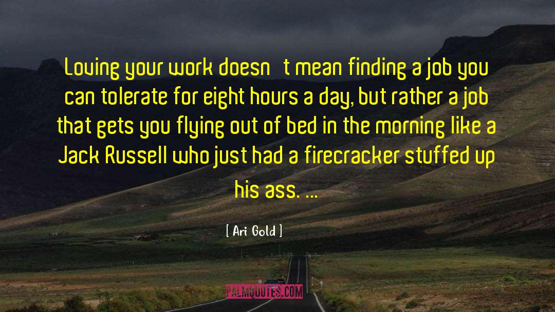 Firecracker quotes by Ari Gold