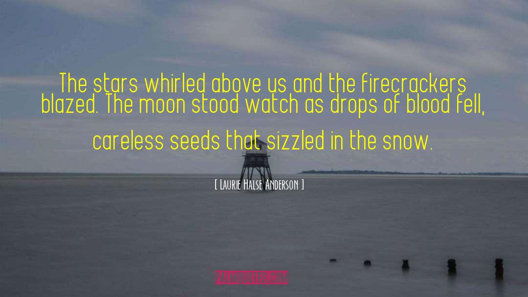 Firecrackers quotes by Laurie Halse Anderson