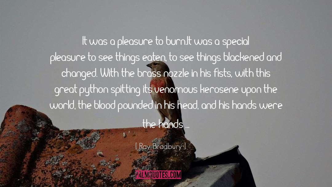 Fireflies quotes by Ray Bradbury