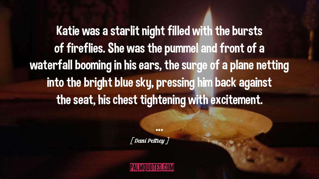 Fireflies quotes by Dani Pettrey
