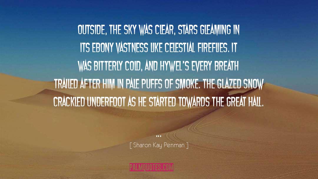 Fireflies quotes by Sharon Kay Penman