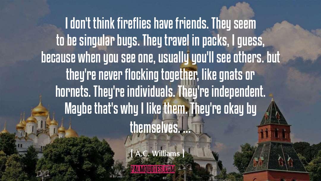 Fireflies quotes by A.C. Williams