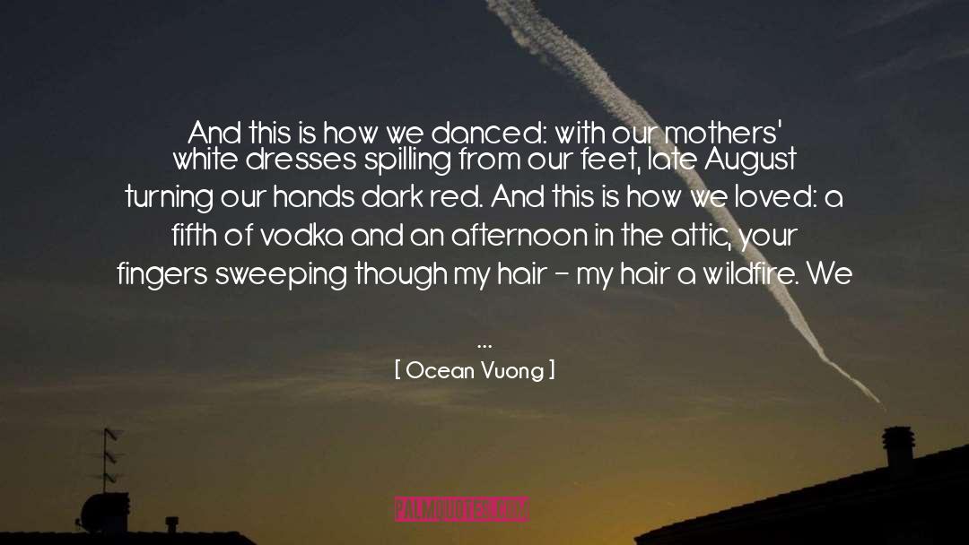 Fireplace quotes by Ocean Vuong