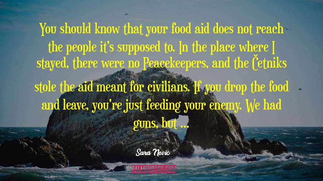 Firepower quotes by Sara Novic