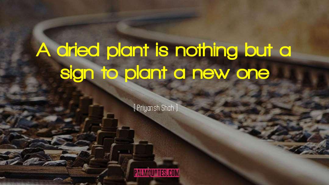 Fireweed Plant quotes by Priyansh Shah