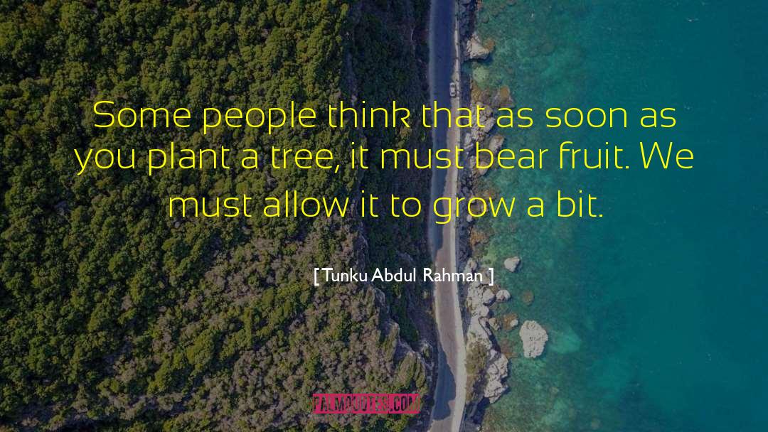 Fireweed Plant quotes by Tunku Abdul Rahman